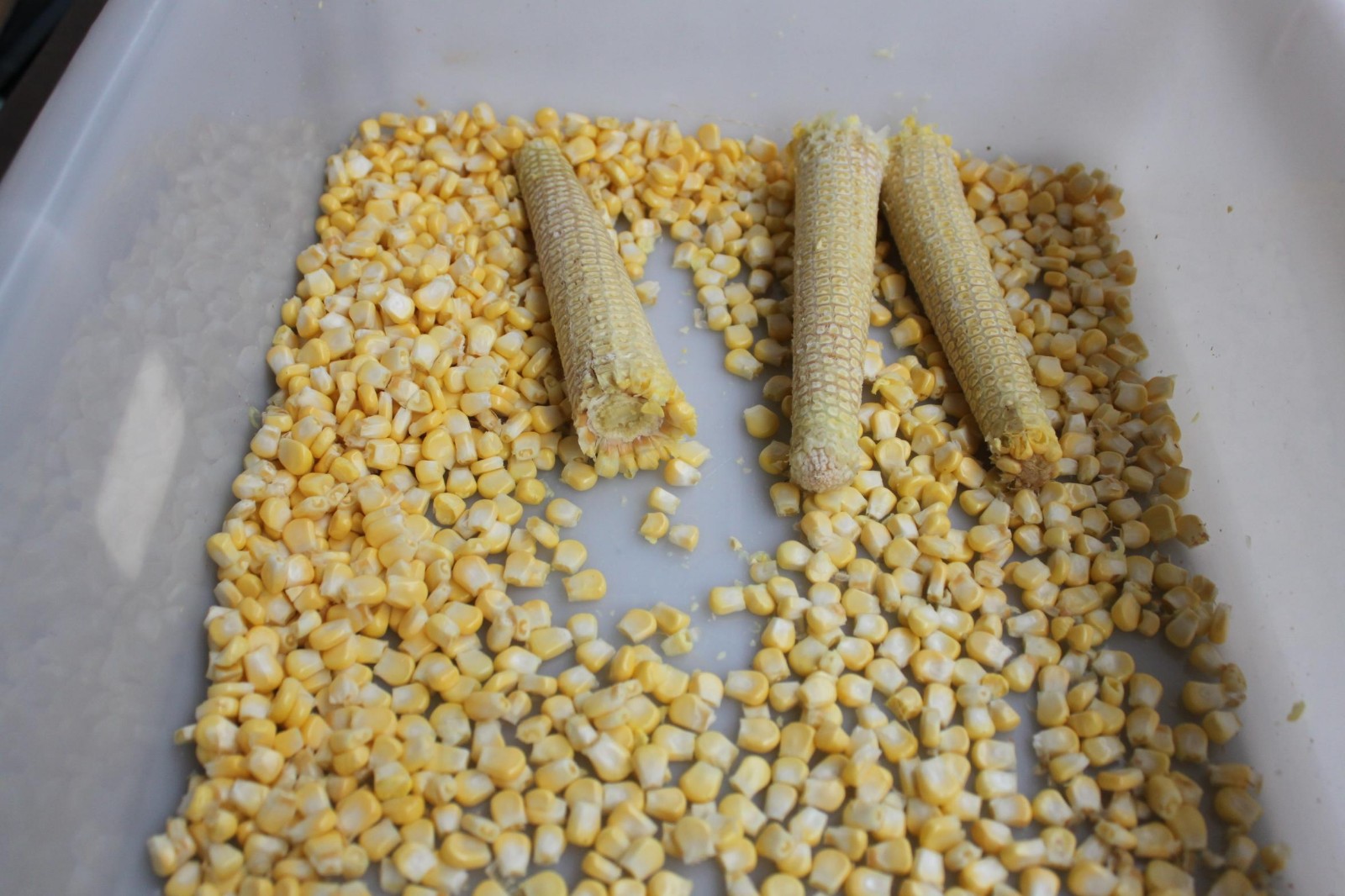 MZ368 cornMC368 kernels niblet machine corn thresher machine